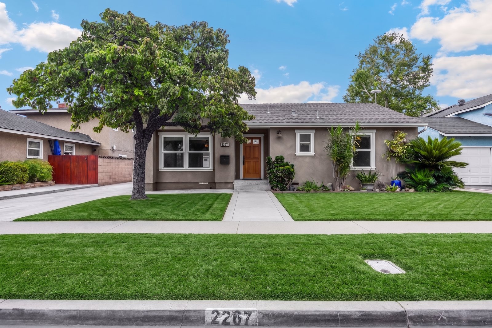 After: Lawn Replacement